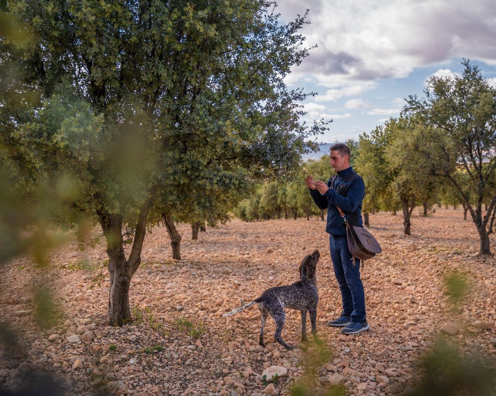 De trufa en trufa - campo trufiturismo