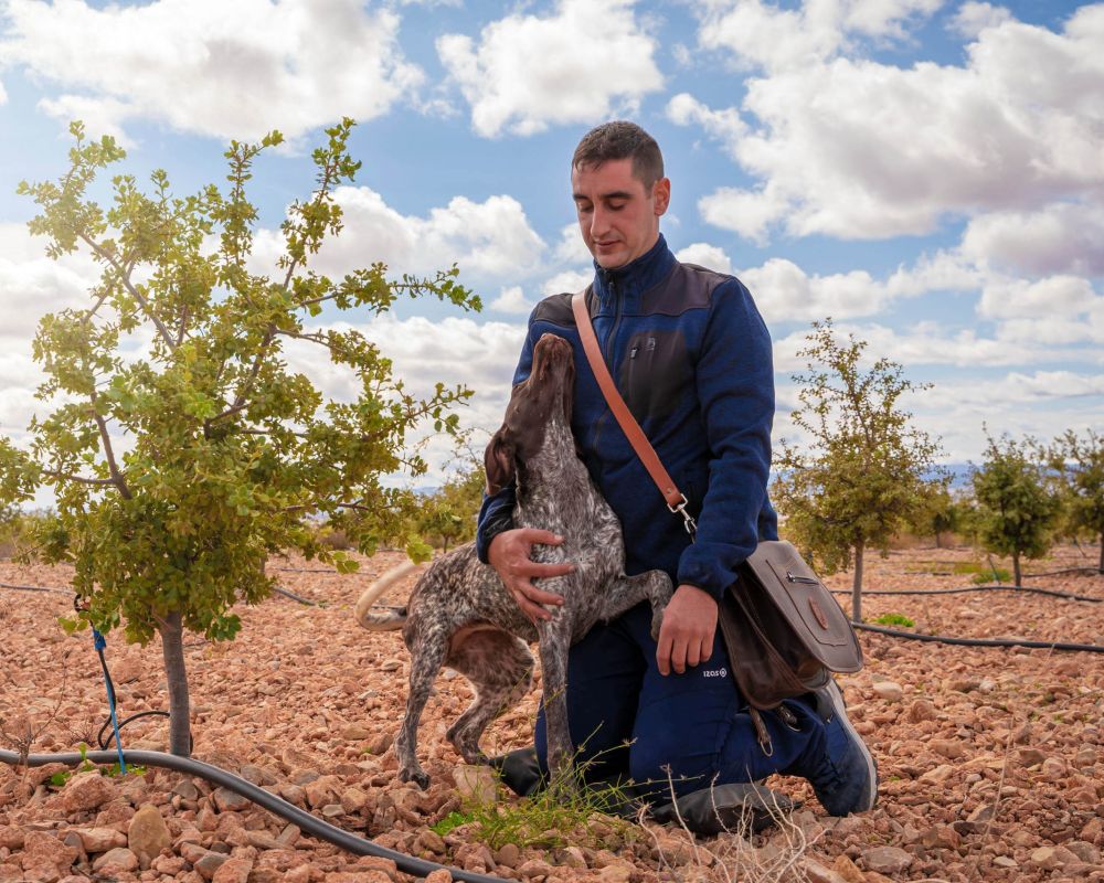 De trufa en trufa - campo trufiturismo