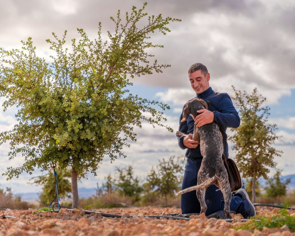 De trufa en trufa - campo trufiturismo