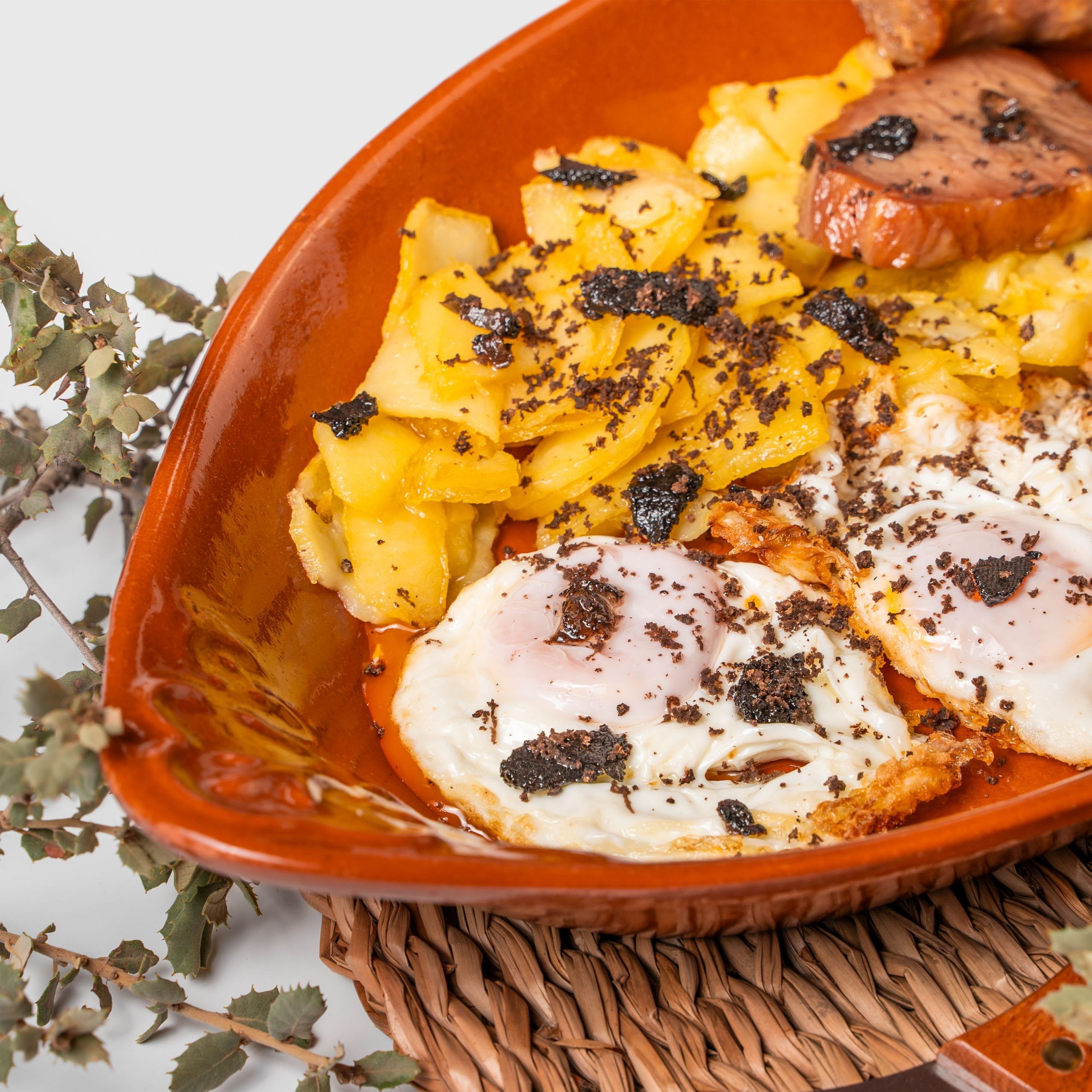 de trufa en trufa - foto almuerzo trufiturismo