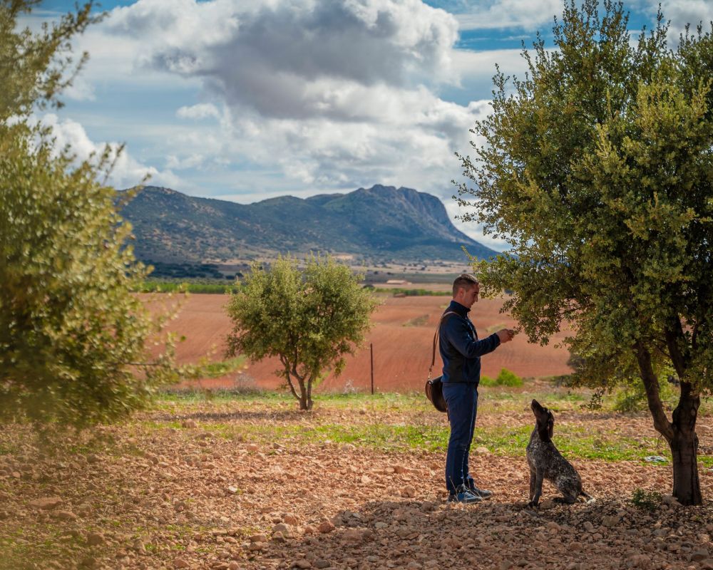 De trufa en trufa - campo trufiturismo