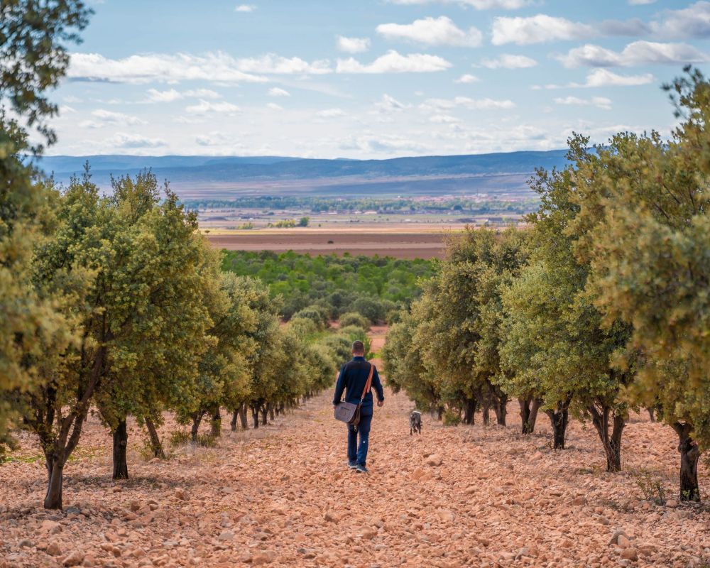 De trufa en trufa - foto campo trufiturismo